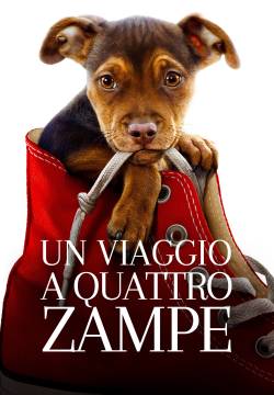 A Dog's Way Home - Un viaggio a quattro zampe (2019)