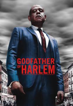 Godfather of Harlem (2019)