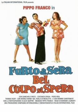 Furto di sera bel colpo si spera (1973)