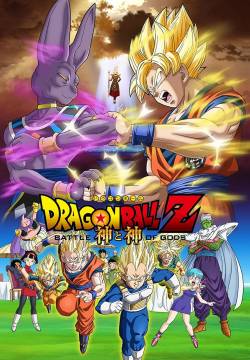 Dragon Ball Z - La battaglia degli Dei (2013)