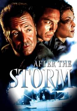 After the Storm (2001)