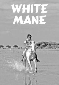 Crin blanc: Le cheval sauvage - White Mane (1953)