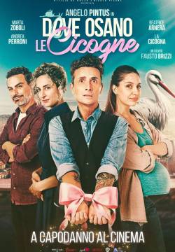 Dove osano le cicogne (2025)