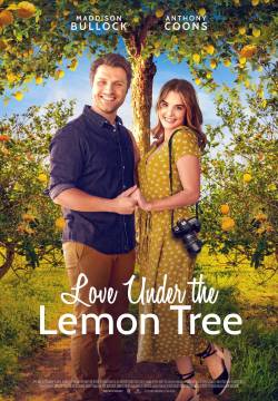 Love Under the Lemon Tree - Come in una fotografia (2022)